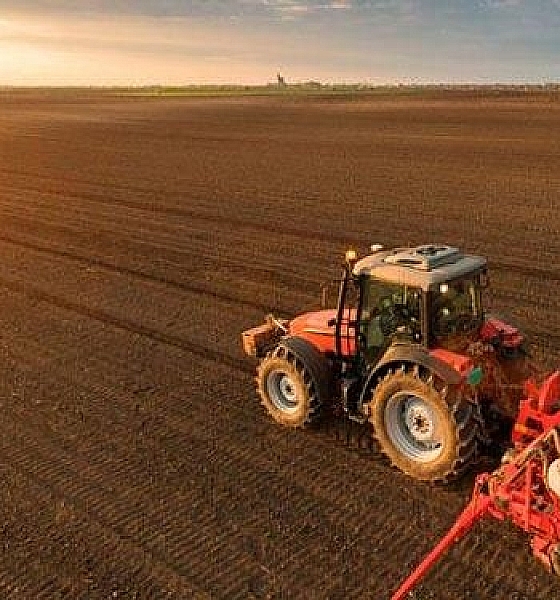 Plantio de soja em MT alcança 98,39% da área, afirma Imea