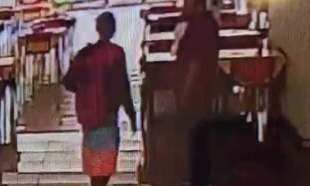 Homem tenta roubar cachorro e agride tutor com socos no rosto, no DF