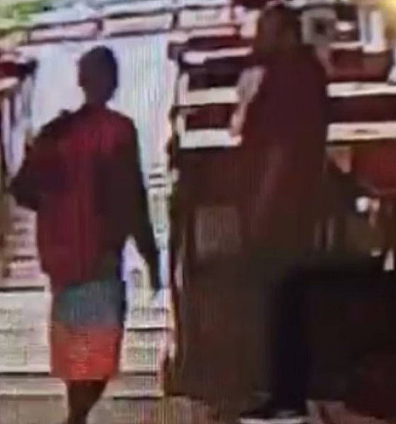 Homem tenta roubar cachorro e agride tutor com socos no rosto, no DF