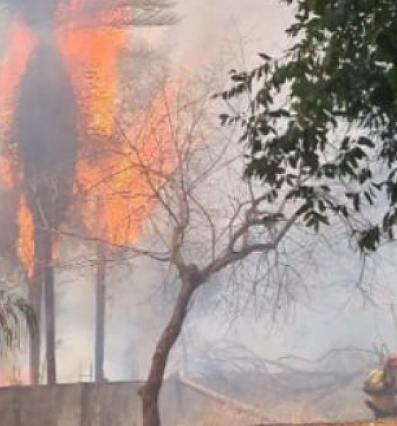 Incêndio de grandes proporções atinge área de vegetação no bairro Ribeirão do Lipa em Cuiabá