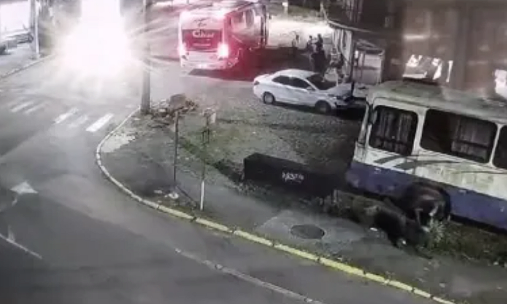 Criança de 3 anos é abandonada em ônibus com documentos e sonda de alimentação no RS