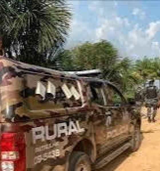 Quadrilha é presa por tentativa de furto de 21 cabeças de gado em Cáceres