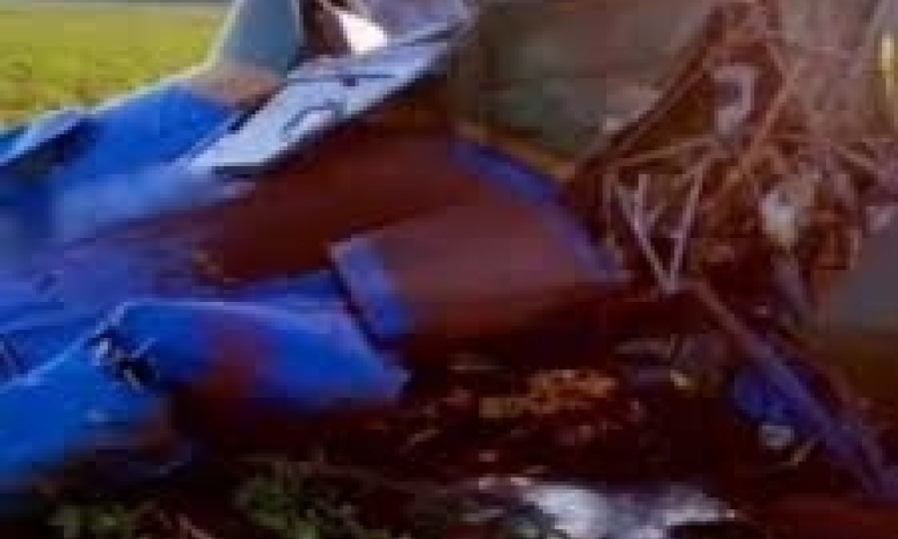 Avião de pequeno porte cai em plantação de soja em Pontes e Lacerda