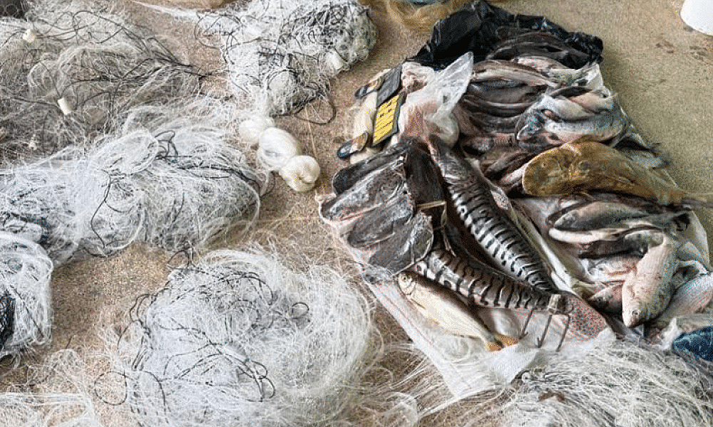 Fiscalização apreende 43 kg de pescado durante período de piracema em Mato Grosso