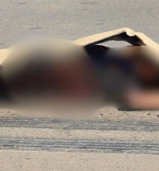 Homem não identificado morre após se jogar na frente de caminhão