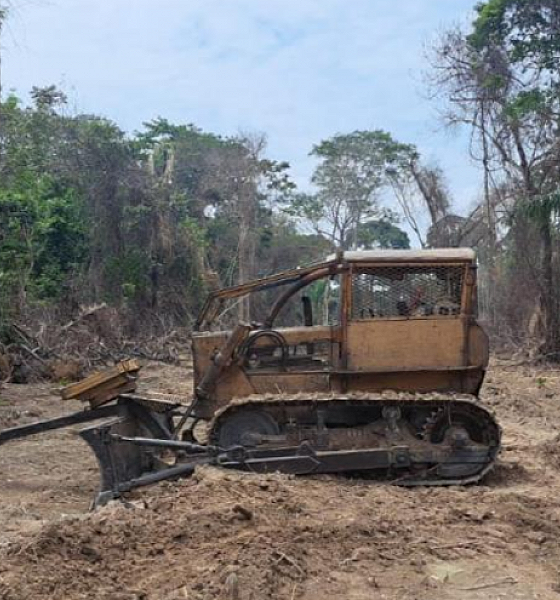Sema apreende trator e multa infrator em R$ 215 mil por desmatamento ilegal em Alta Floresta