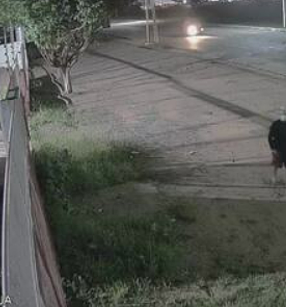 Jovem é preso em tentativa de assalto a agência bancária em Cuiabá