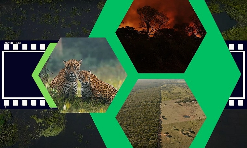 MPMT exibe documentário sobre o Pantanal nesta quinta-feira