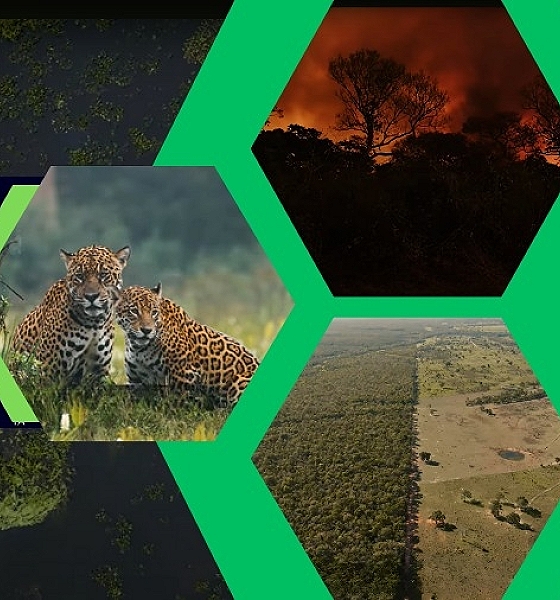 MPMT exibe documentário sobre o Pantanal nesta quinta-feira