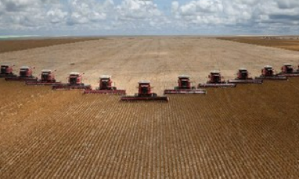 Mato Grosso sediará Abertura Nacional da Colheita da Soja com foco em sustentabilidade e desenvolvimento