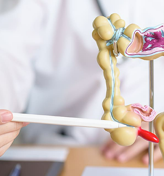 Câncer Colorretal: Terceiro tipo mais frequente no Brasil requer atenção e prevenção