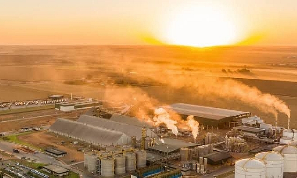 Primavera do Leste se destaca como líder em geração de empregos em MT