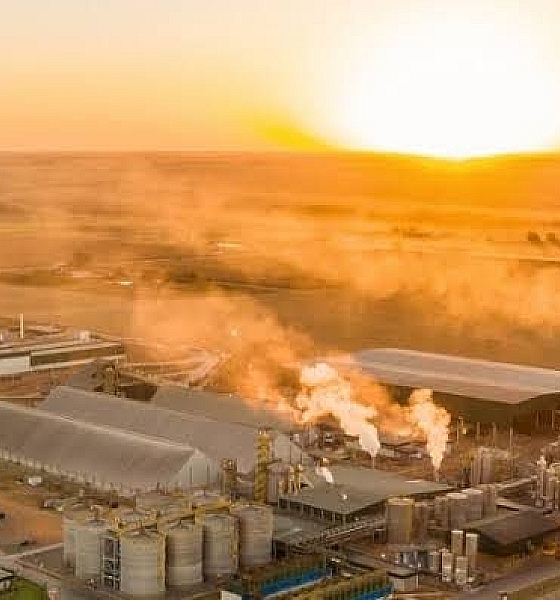 Primavera do Leste se destaca como líder em geração de empregos em MT