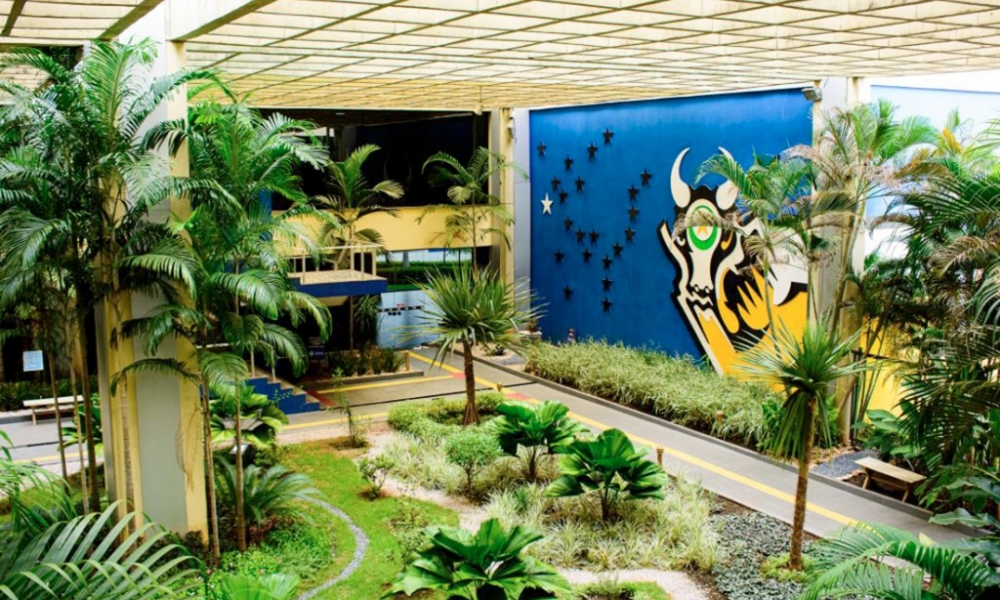 Mato Grosso e mais 3 Estados irão fechar 2024 no ‘azul’, aponta federação