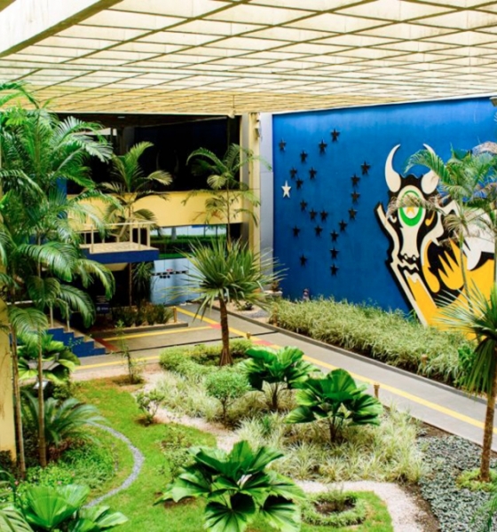 Mato Grosso e mais 3 Estados irão fechar 2024 no ‘azul’, aponta federação