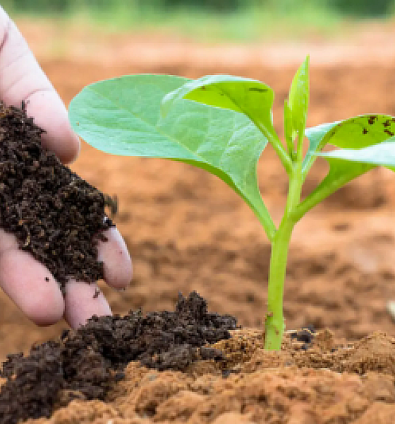 Presidente Lula sanciona lei que regulamenta uso de bioinsumos na agropecuária