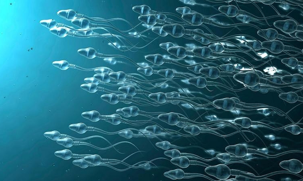 A Ejaculação Pode Reduzir o Risco de Câncer de Próstata? Novas Pesquisas Apontam Que Sim