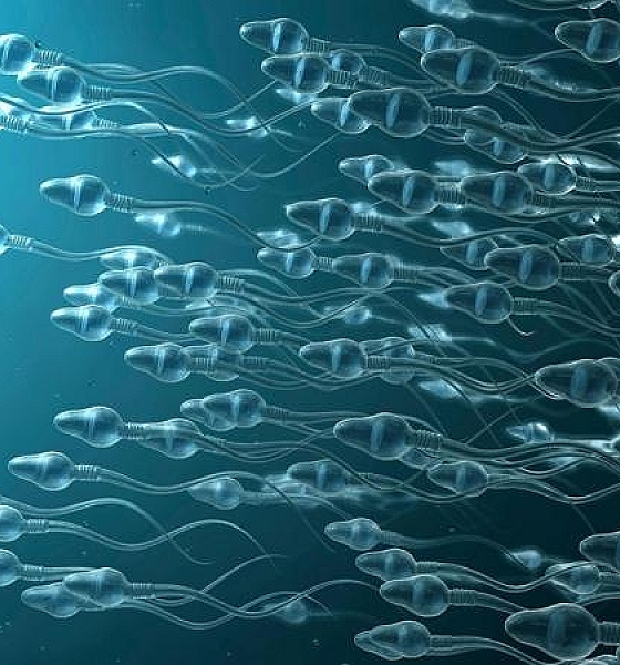 A Ejaculação Pode Reduzir o Risco de Câncer de Próstata? Novas Pesquisas Apontam Que Sim