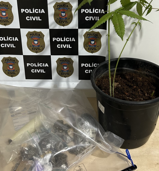 Polícia Civil prende dois adultos e apreende adolescentes por tráfico de drogas em Canarana
