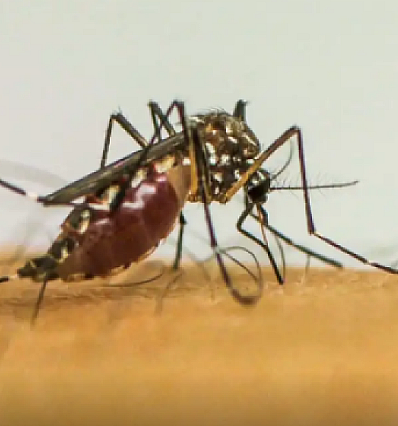 SES alerta população sobre a importância da prevenção e combate ao mosquito Aedes aegypti durante o período de chuvas em Mato Grosso