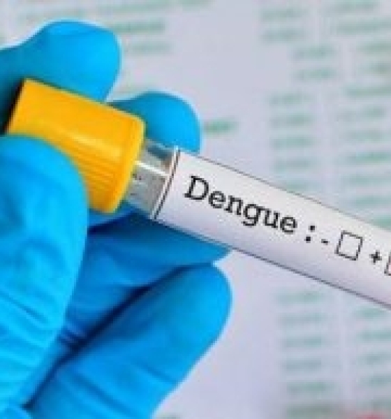 Mato Grosso registrou 24.871 casos de dengue em 2024, conforme os dados divulgados pelo Ministério da Saúde na tarde dessa terça-feira (30). No rankin