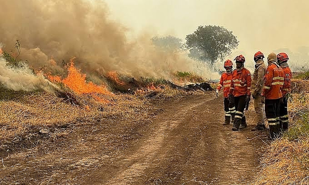 EMERGÊNCIA AMBIENTAL É DECRETADA EM MT PARA INTENSIFICAR PREVENÇÃO E COMBATE AOS INCÊNDIOS FLORESTAIS