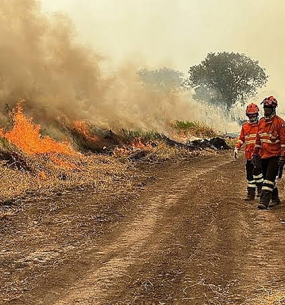 EMERGÊNCIA AMBIENTAL É DECRETADA EM MT PARA INTENSIFICAR PREVENÇÃO E COMBATE AOS INCÊNDIOS FLORESTAIS