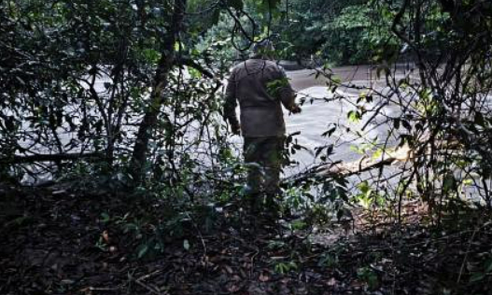 Corpo de mulher que desapareceu após cair em rio é encontrado