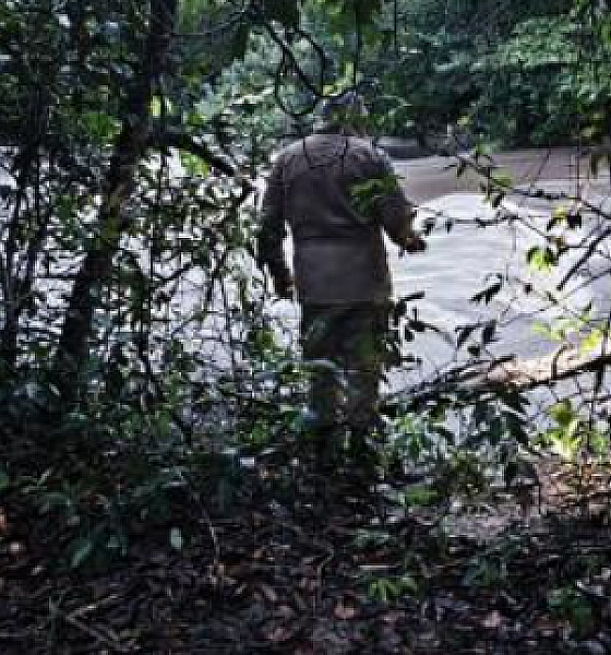 Corpo de mulher que desapareceu após cair em rio é encontrado