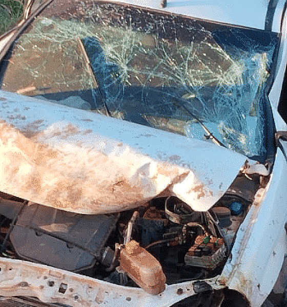 Picape capota em rodovia de Mato Grosso e condutor morre