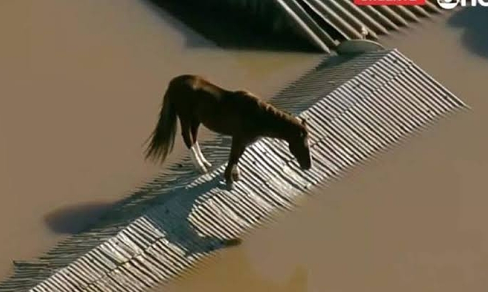 RESGATES EM PORTO ALEGRE SÃO SUSPENSOS APÓS CHUVA RECOMEÇAR