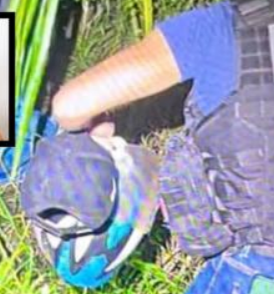 Homem invade casa da ex-namorada e mata atual companheiro 