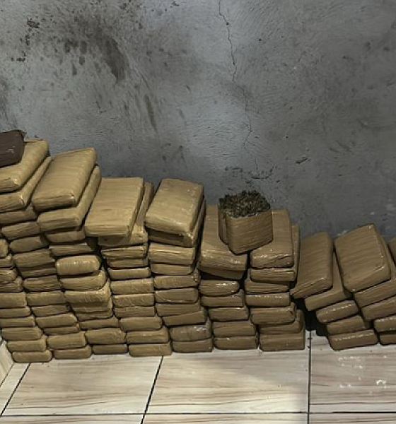 Força Tática apreende 92 tabletes de maconha avaliados em R$ 300 mil em Pontes e Lacerda
