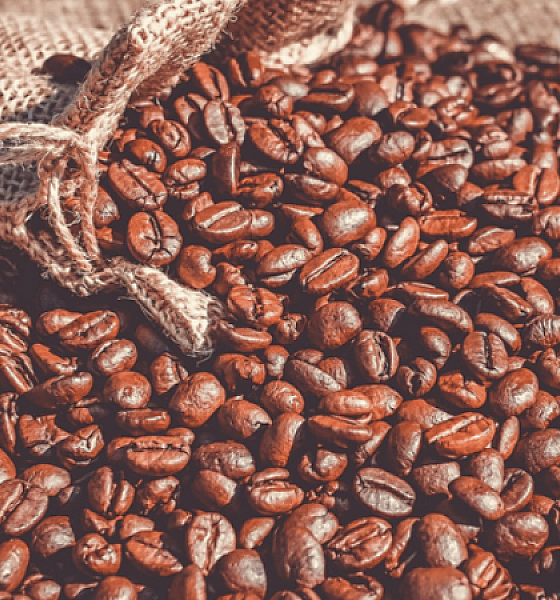 Zerar imposto do café não resolve alta de preços, alerta associação