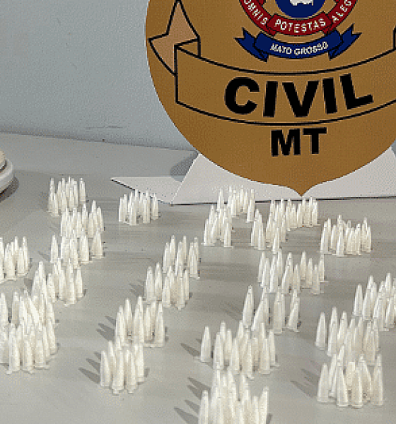 Mulher é presa com mais de 300 pinos de cocaína no Nortão