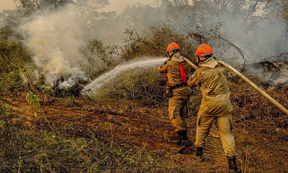 Governo de MT lança plano de combate ao desmatamento e incêndios florestais para 2025