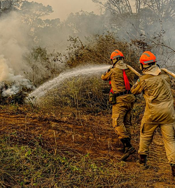 Governo de MT lança plano de combate ao desmatamento e incêndios florestais para 2025