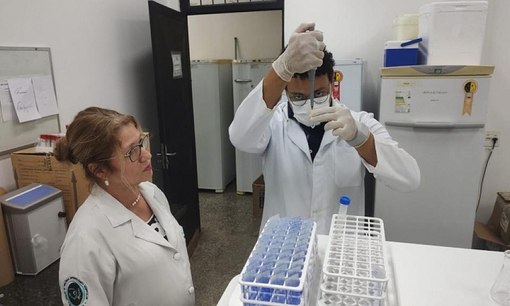 Pesquisadores de Mato Grosso descobrem nova espécie de fungo como causa da doença da Paracoccidioidomicose (PCM)