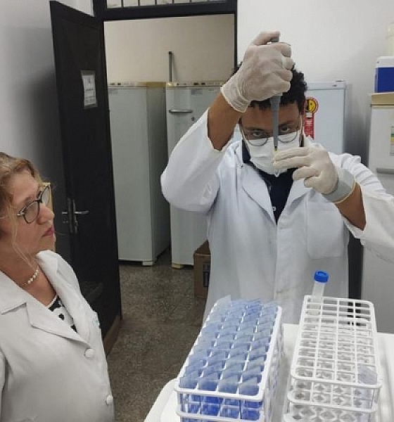 Pesquisadores de Mato Grosso descobrem nova espécie de fungo como causa da doença da Paracoccidioidomicose (PCM)