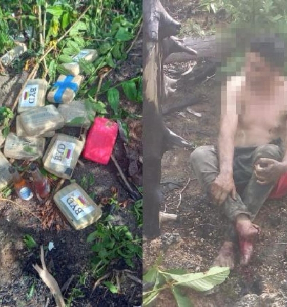  Avião com drogas cai entre Mato Grosso e Pará; dois bolivianos são presos em flagrante