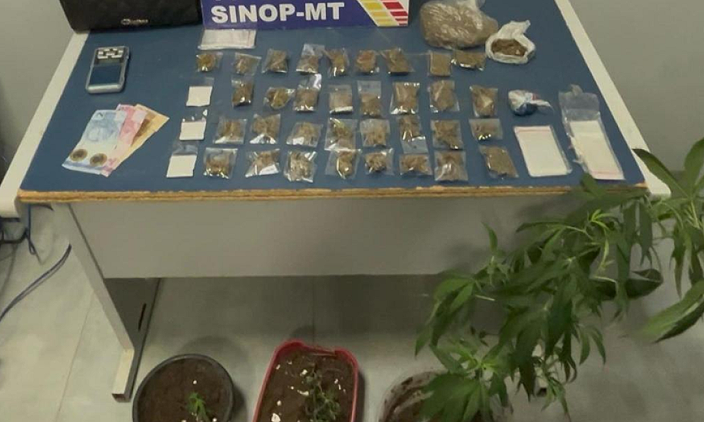 PM prende homem com pés de maconha e drogas prontas para venda em Sinop