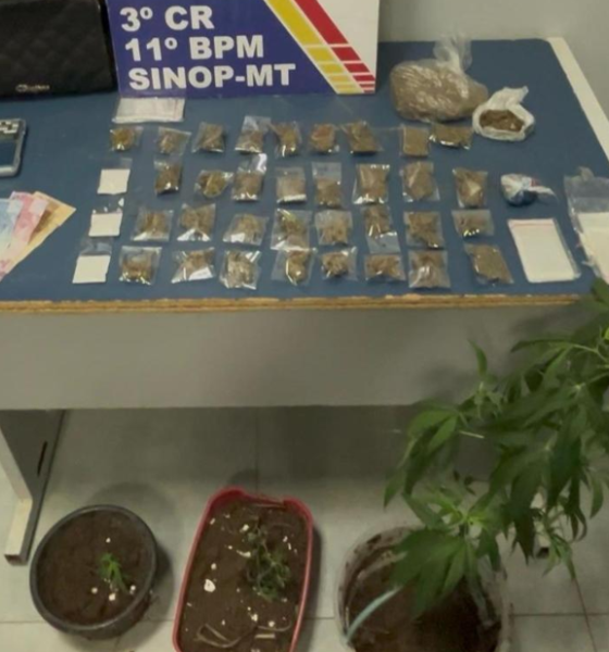 PM prende homem com pés de maconha e drogas prontas para venda em Sinop