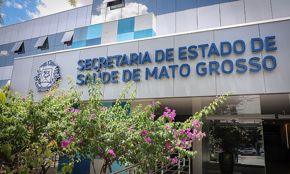 SES promove capacitação sobre arboviroses na infância