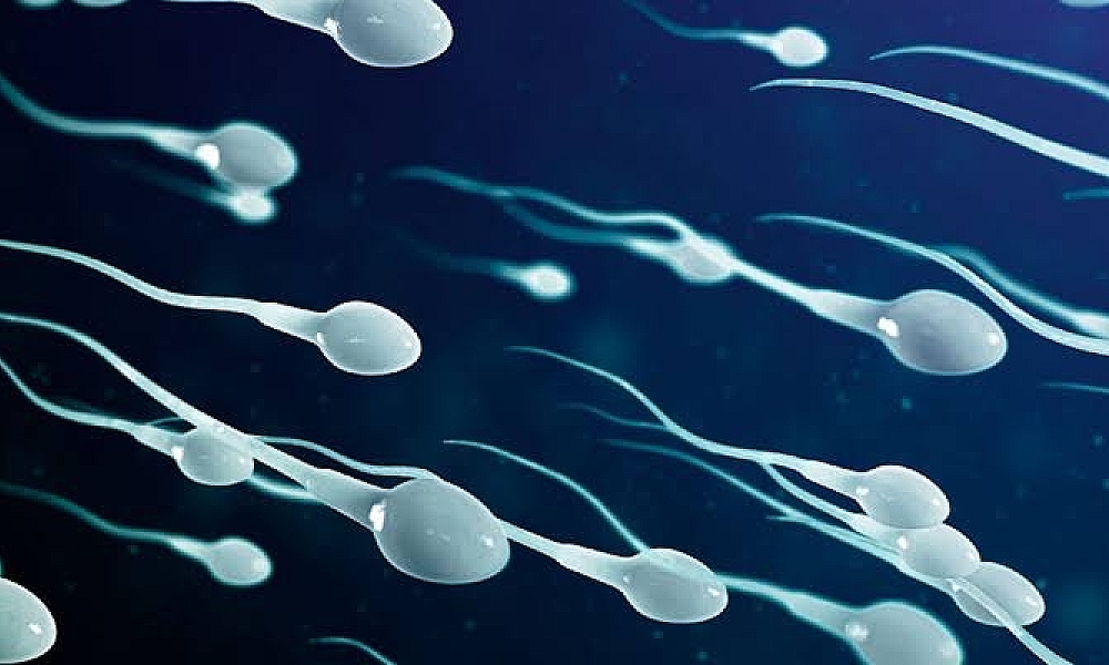 CORONAVÍRUS PODE FICAR NOS ESPERMATOZOIDES ATÉ 110 DIAS APÓS INFECÇÃO