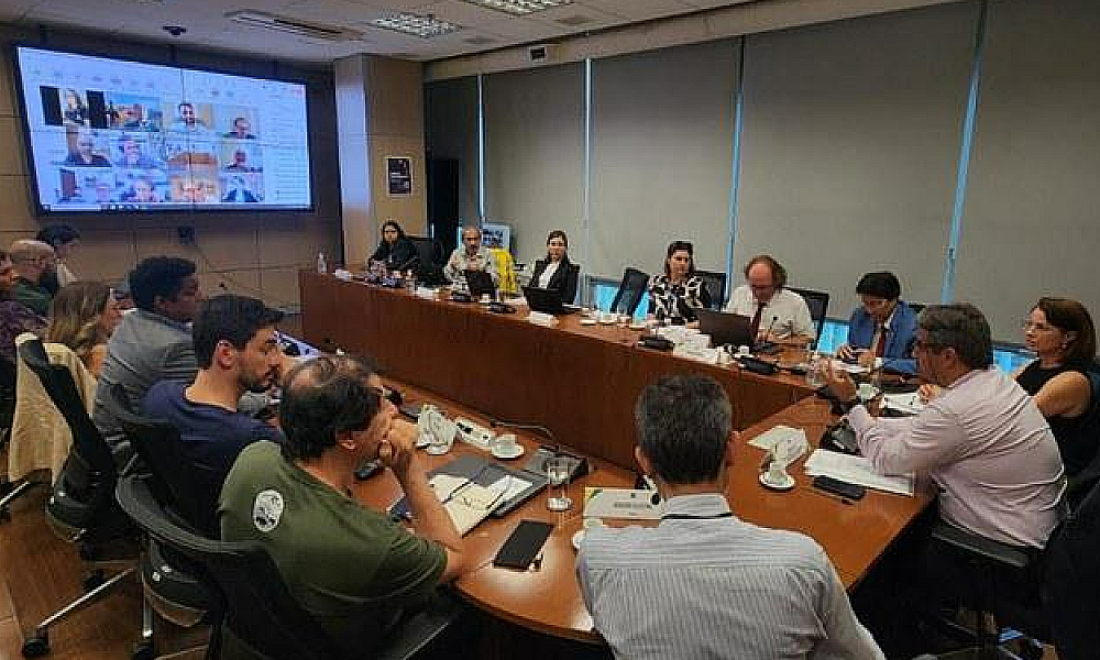 Sema assume vice-presidência em câmara técnica do Comitê Nacional de Manejo Integrado do Fogo