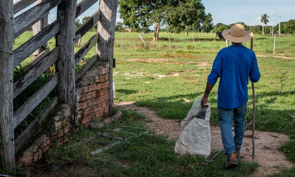 Governo de MT reforça apoio à agricultura familiar com mais de R$ 700 milhões de investimentos