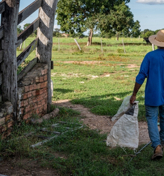 Governo de MT reforça apoio à agricultura familiar com mais de R$ 700 milhões de investimentos