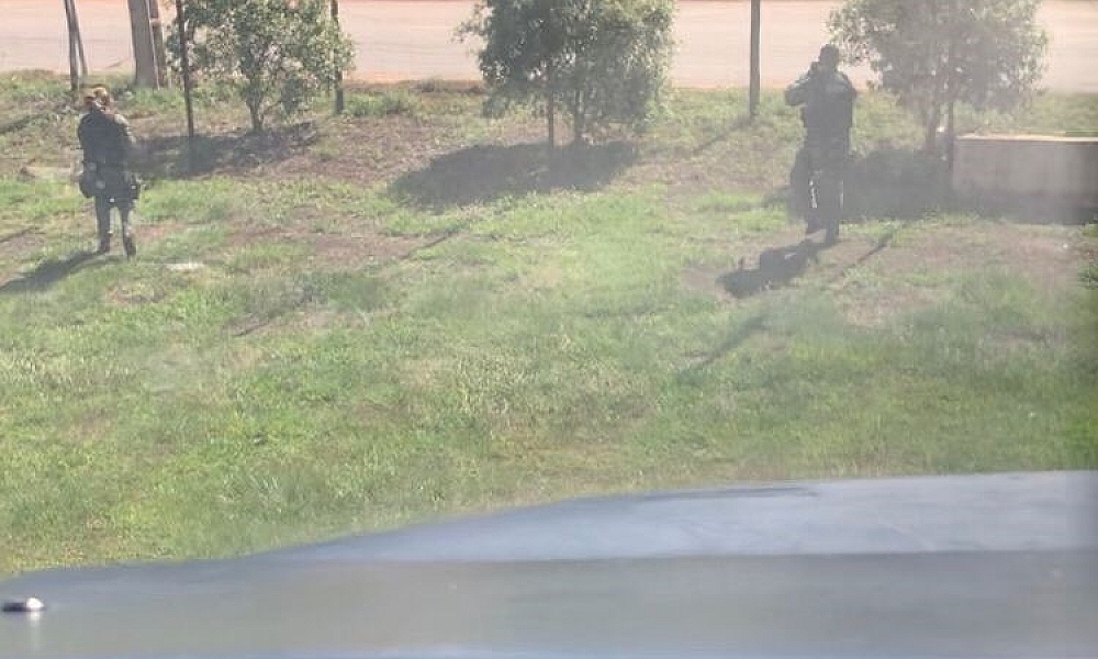 Ciopaer supera número de veículos localizados no ano passado com o Tolerância Zero