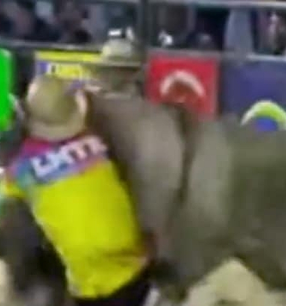 Salva-vidas é socorrido após levar coice de touro durante rodeio no Nortão