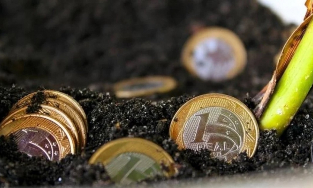 Após Goiás, mais um estado quer criar 